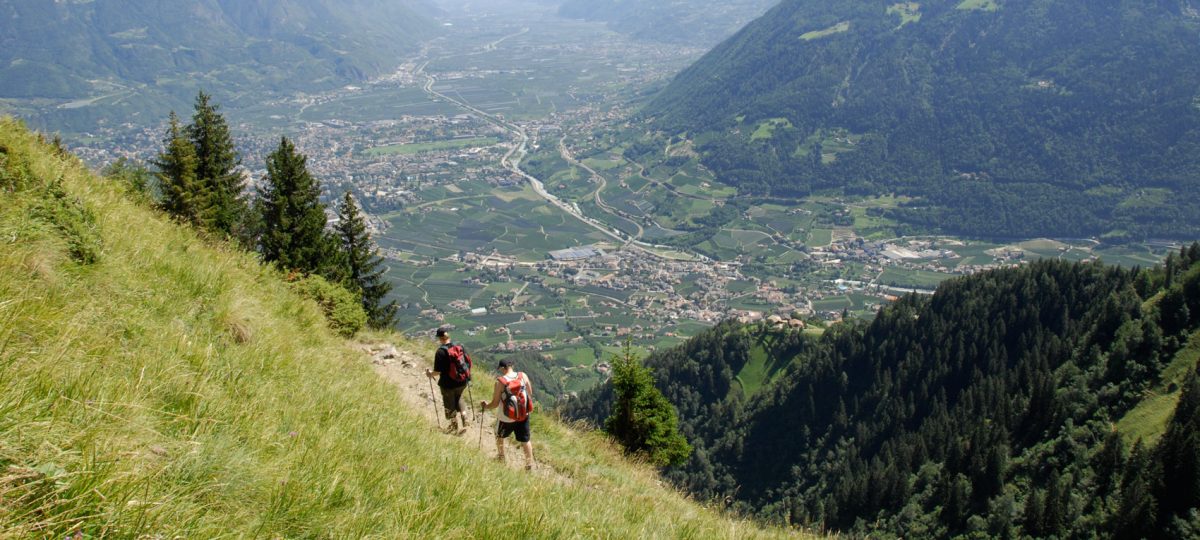 Wanderung auf dem Schenner Waalweg | Schenna