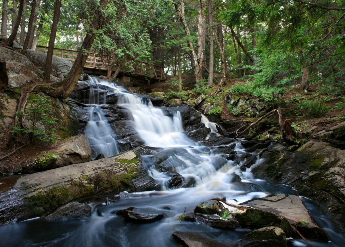 Gilfenklamm gorge | Racines