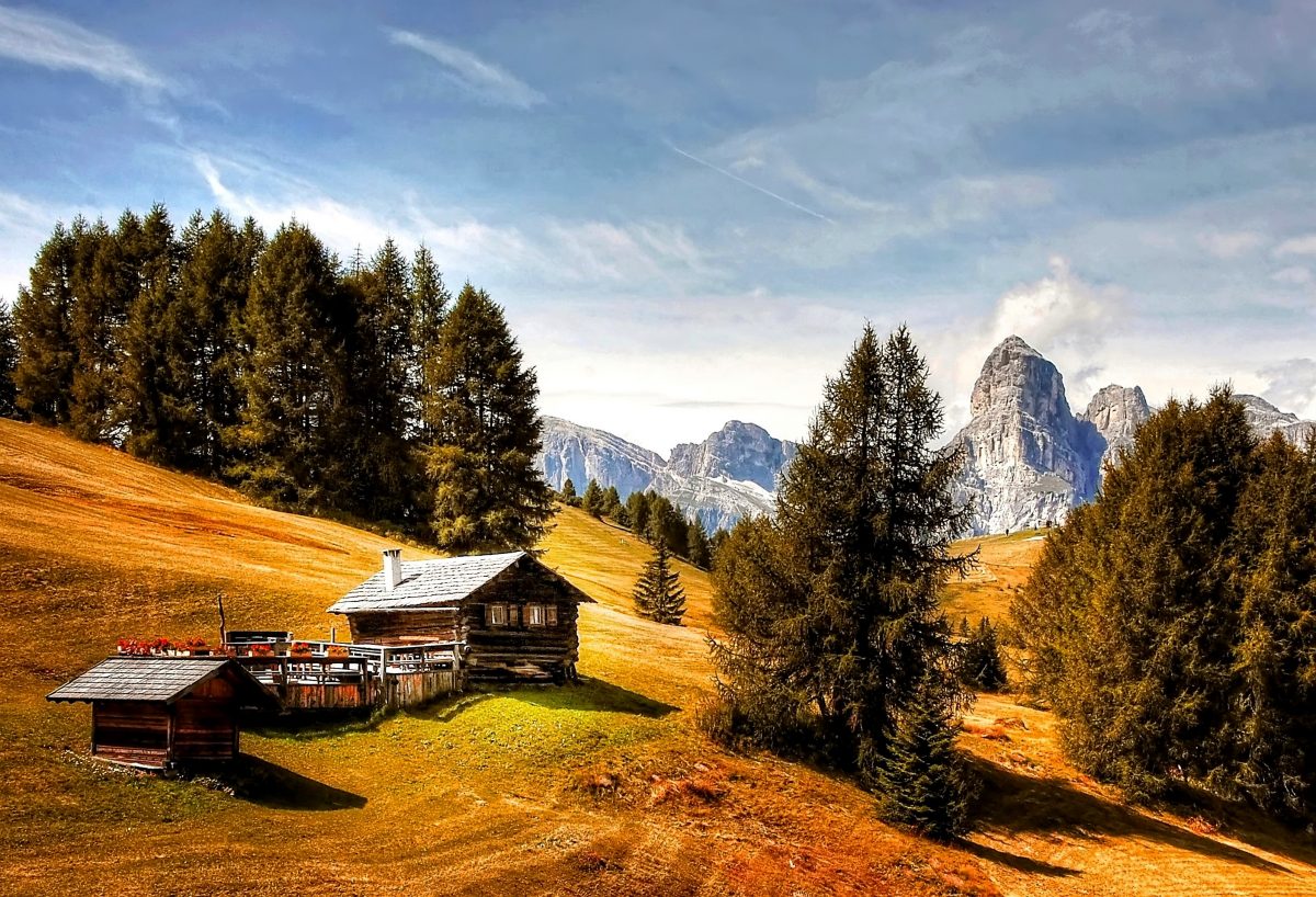 Escursioni gastronomiche in malga | Laces