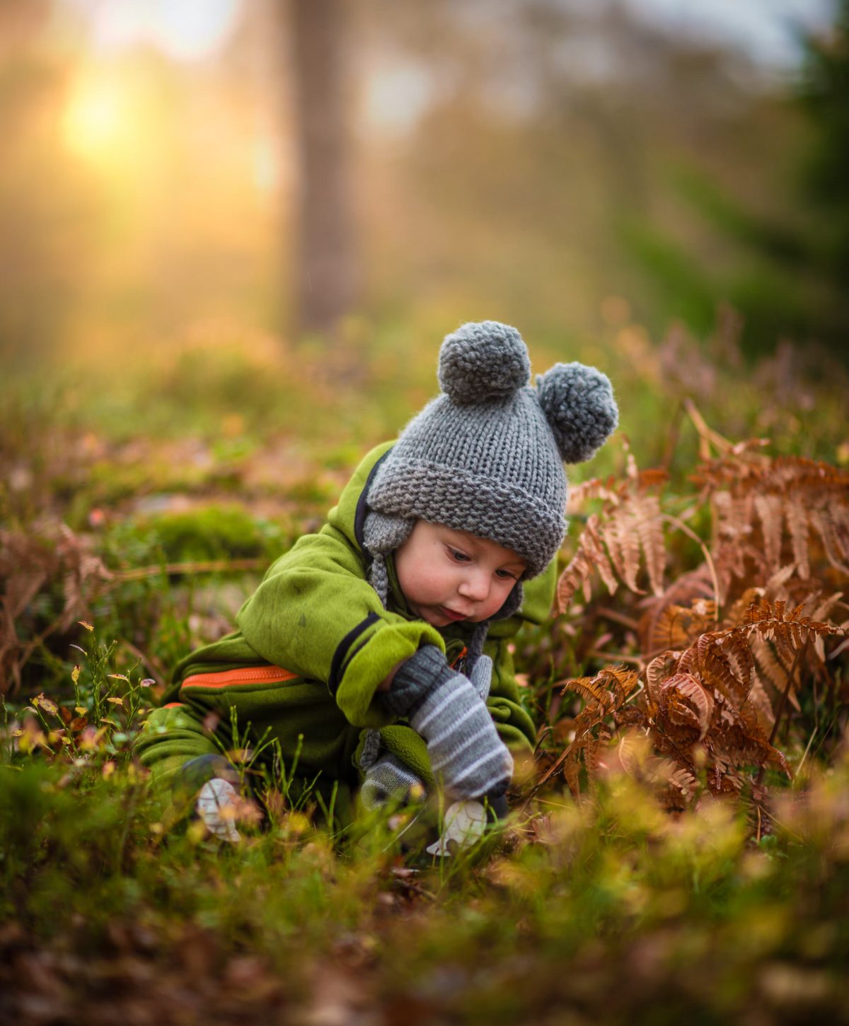 Baby trekking | Merano e dintorni