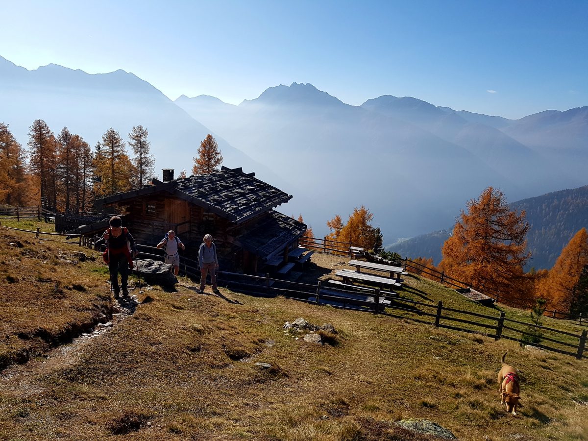 Escursioni guidate | Val d’Ultimo