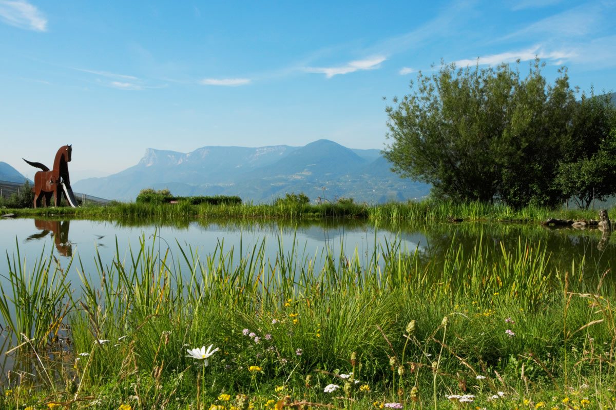 Burglehenpark | Dorf Tirol