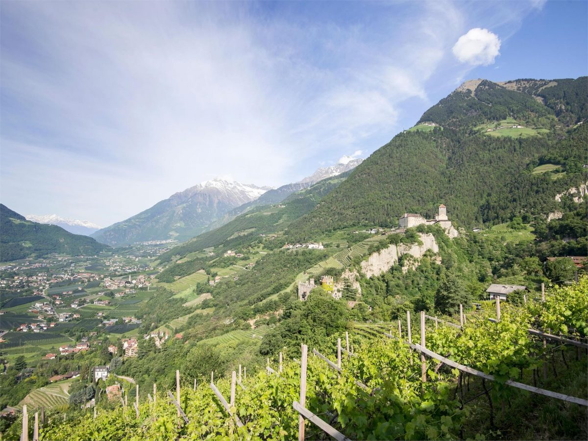 Kulturweg | Dorf Tirol