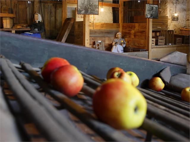 Museo di frutticoltura Alto Adige | Lana