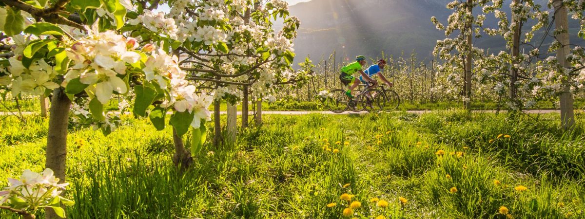 Rundtour zu den Montiggler Seen | Tramin