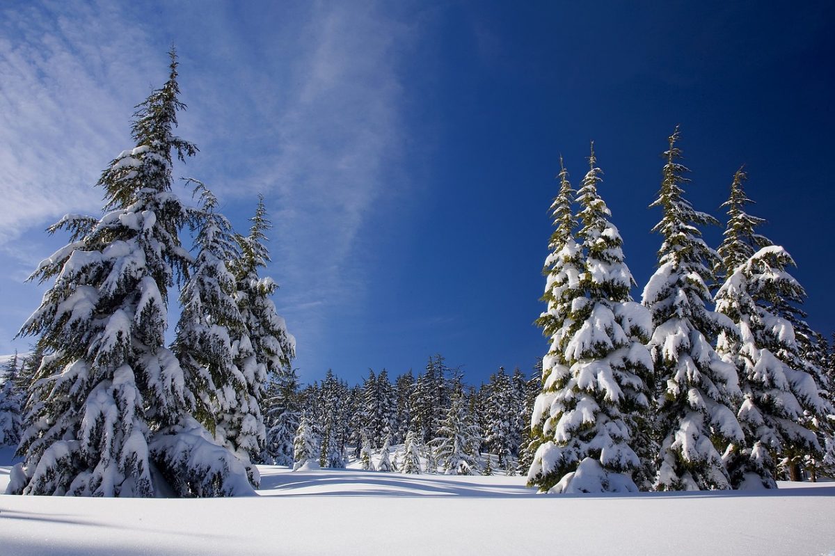 Schneeschuhwanderung am Salten | Mölten