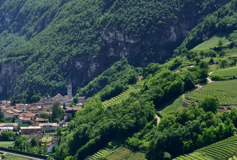 Magrè sulla strada del vino