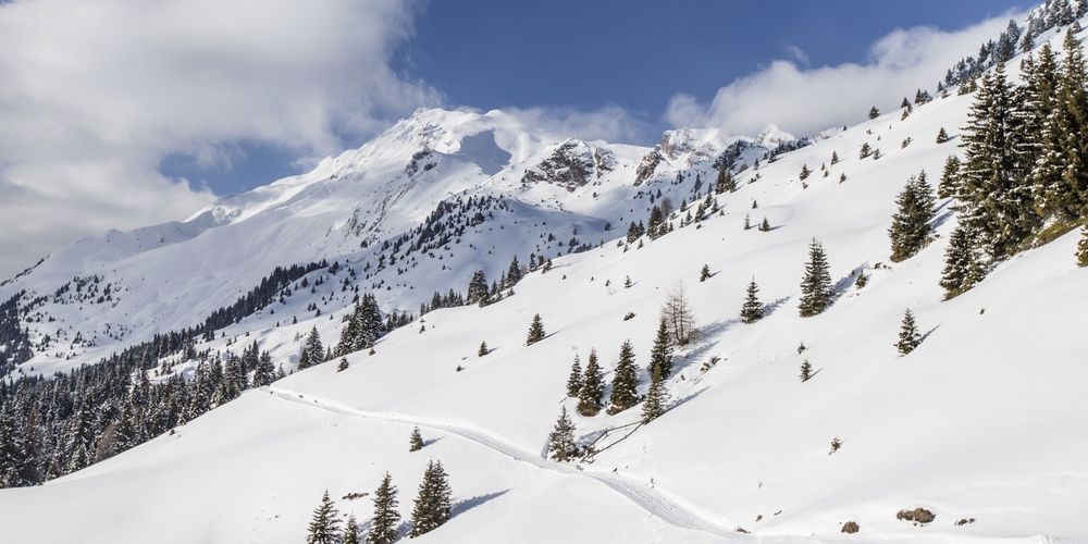 Winterwanderweg zur Kuhalm | Sterzing