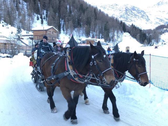 Pferdeschlittenfahrt | Passeiertal