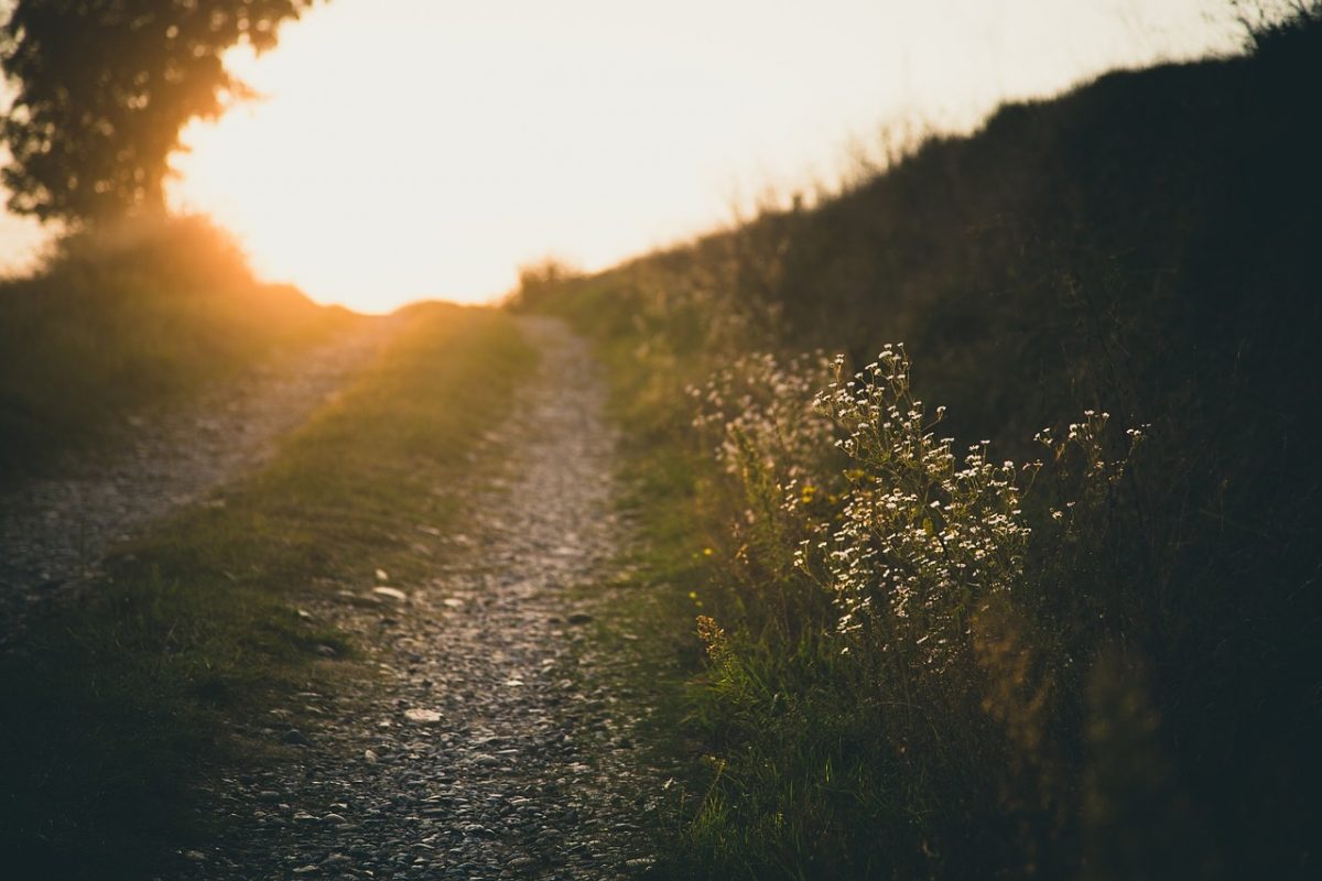 Sentiero del sole | Burgusio