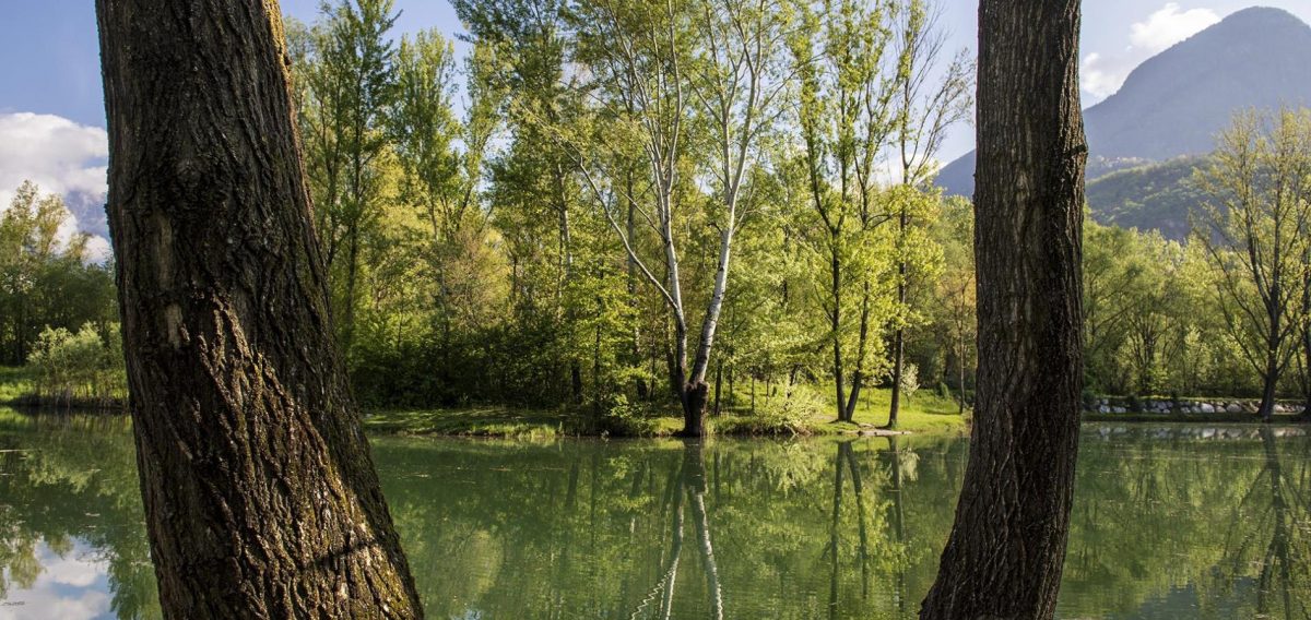 Biotope Falschauer | Lana