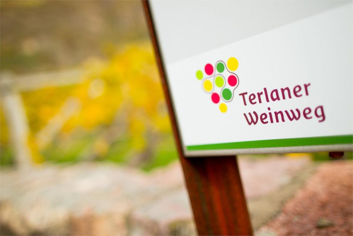 Terlaner Weinweg | Terlan