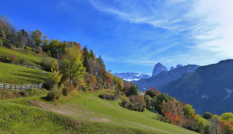 Sentiero della Posta | Laion