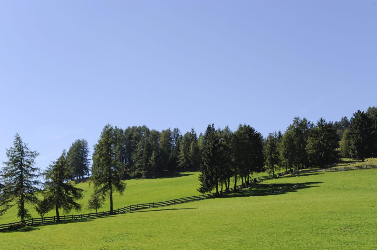 Tschaufen | Verschneid