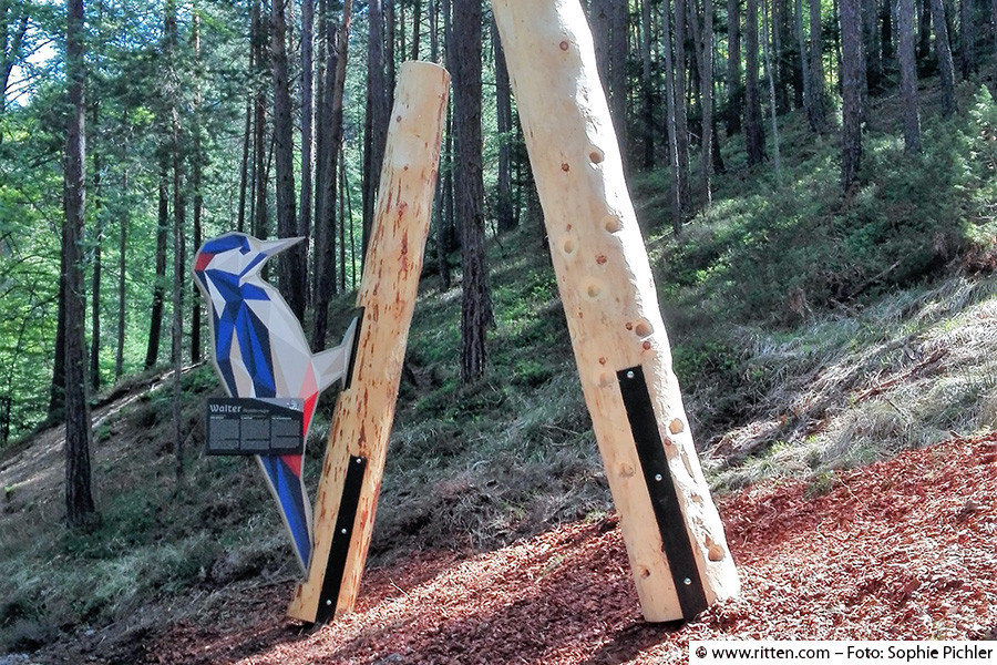 Wald-Wild-Wunder-Weg | Ritten