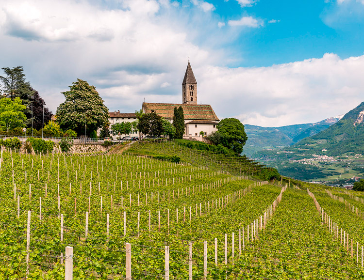 Geführte Weinsinneswanderung über den Kurtatscher Weinlehrpfad | Kurtatsch