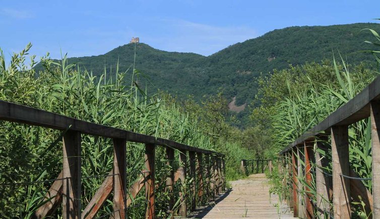 Girando attorno al lago di Caldaro con il passeggino | Caldaro