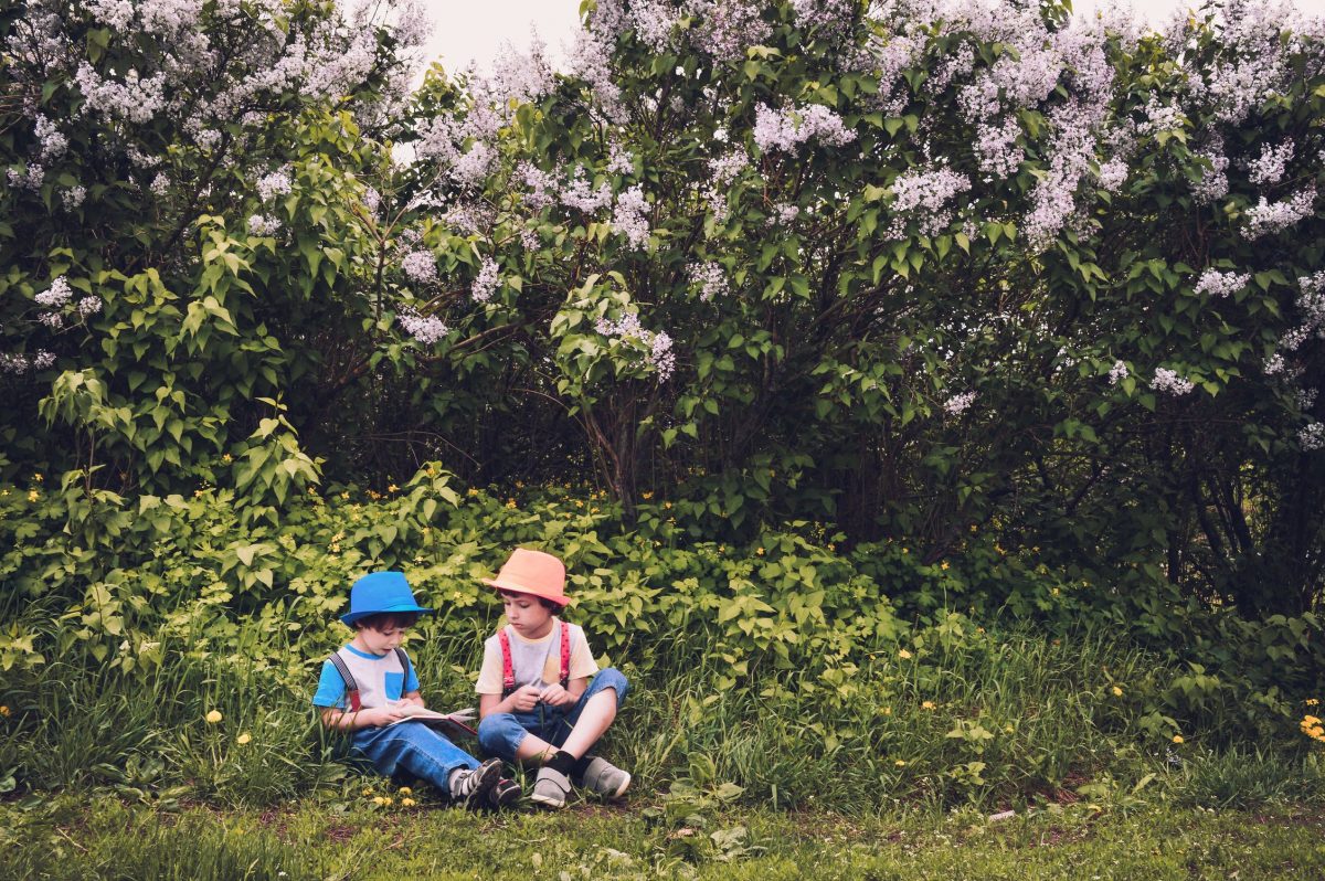 Das Hochplateau der Rodenecker-Lüsner Alm mit dem Kinderwagen | Lüsen