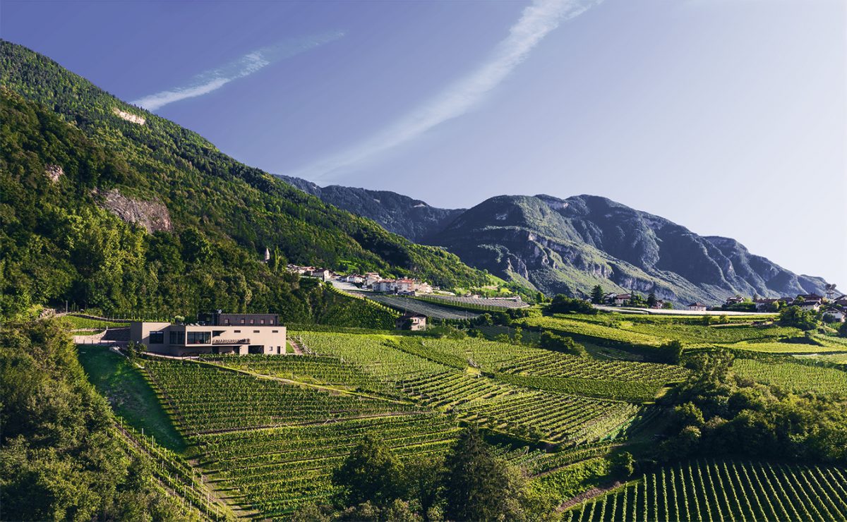 Winery Pfitscher | Montagna