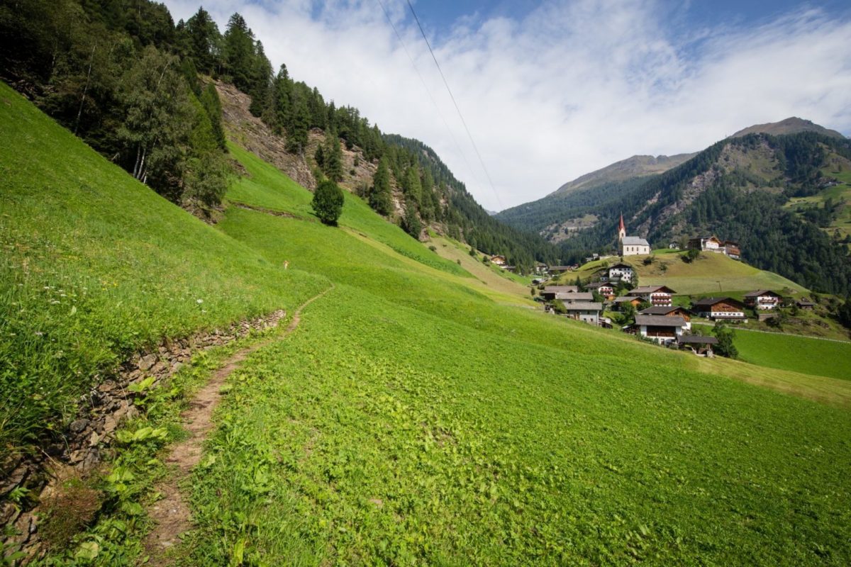 Kummersee Rundweg | Moos