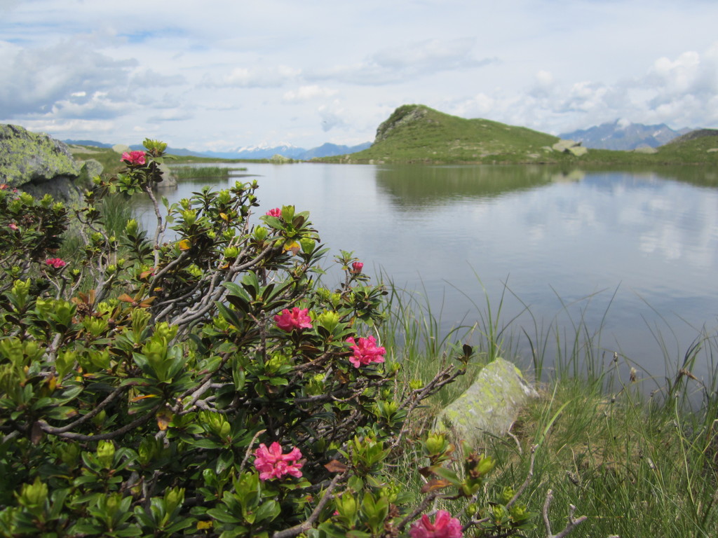 Alla malga Faglsalm e al lago Faglssee in Valclava | Rifiano