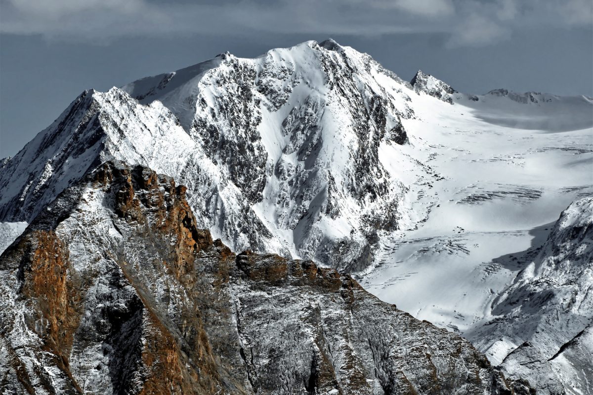 Hochfeiler | Zillertaler Alpen