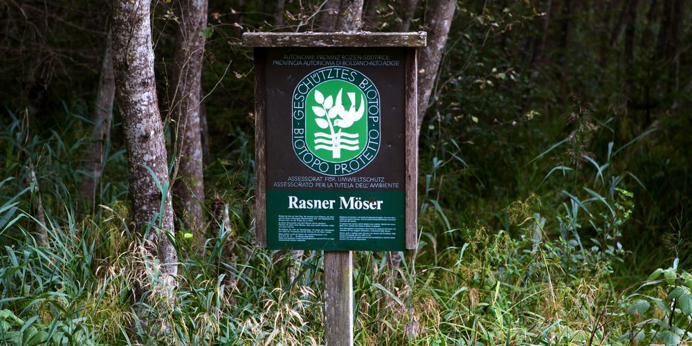 Il Biotopo Rasner Möser in Val Pusteria | Anterselva