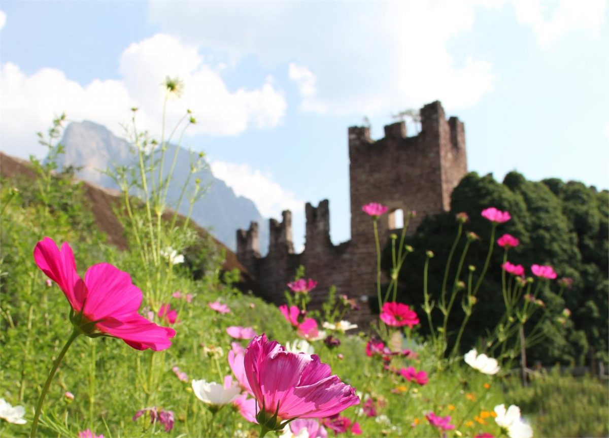 Rovine di Castel Rovereto | San Osvaldo