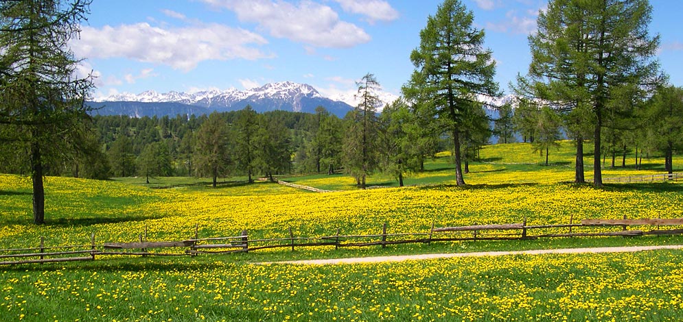 Mountainbike-tour Salto e Langfenn | Andriano