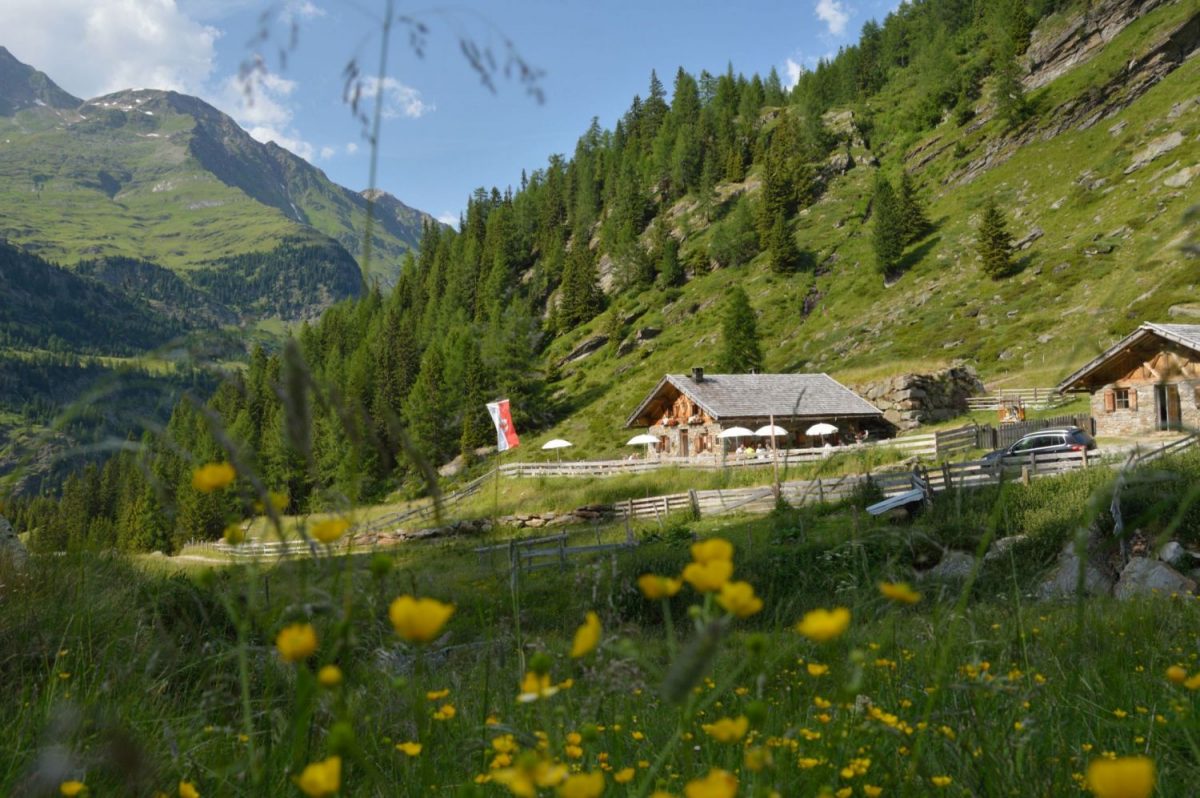 Von Pfelders zur Schneidalm | Pfelders