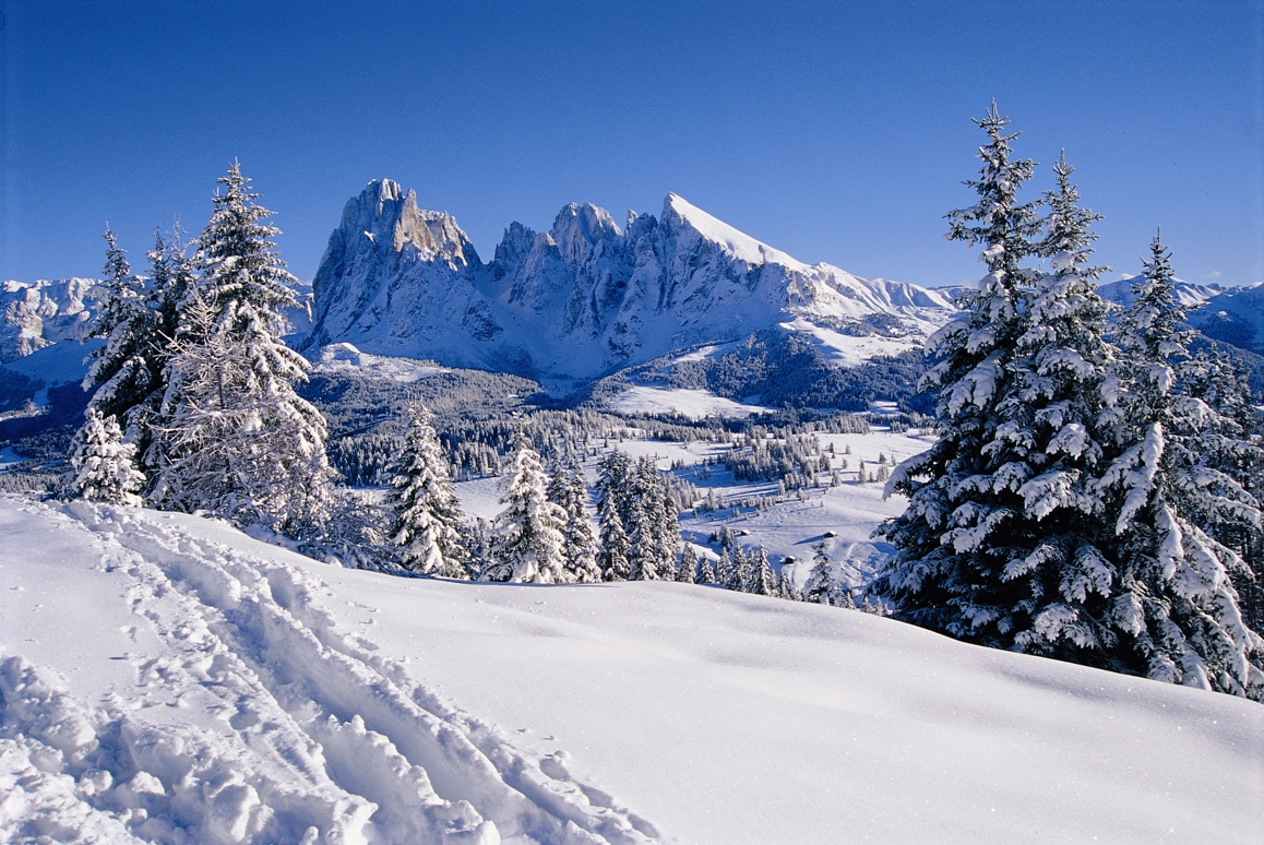 Area sciistica Gardena | Val Gardena