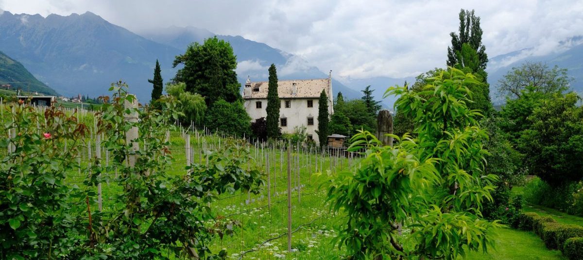 Kleine Weinprobe mit Gartenbesichtigung