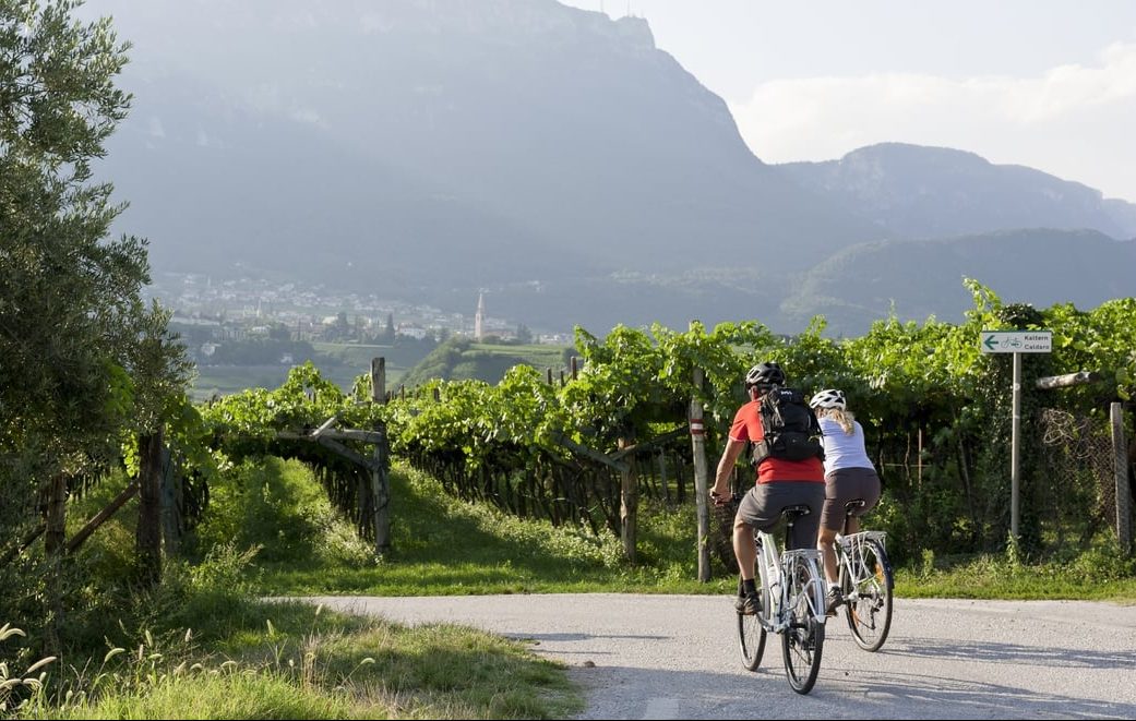 Wine & Bike | Strada del Vino dell’Alto Adige