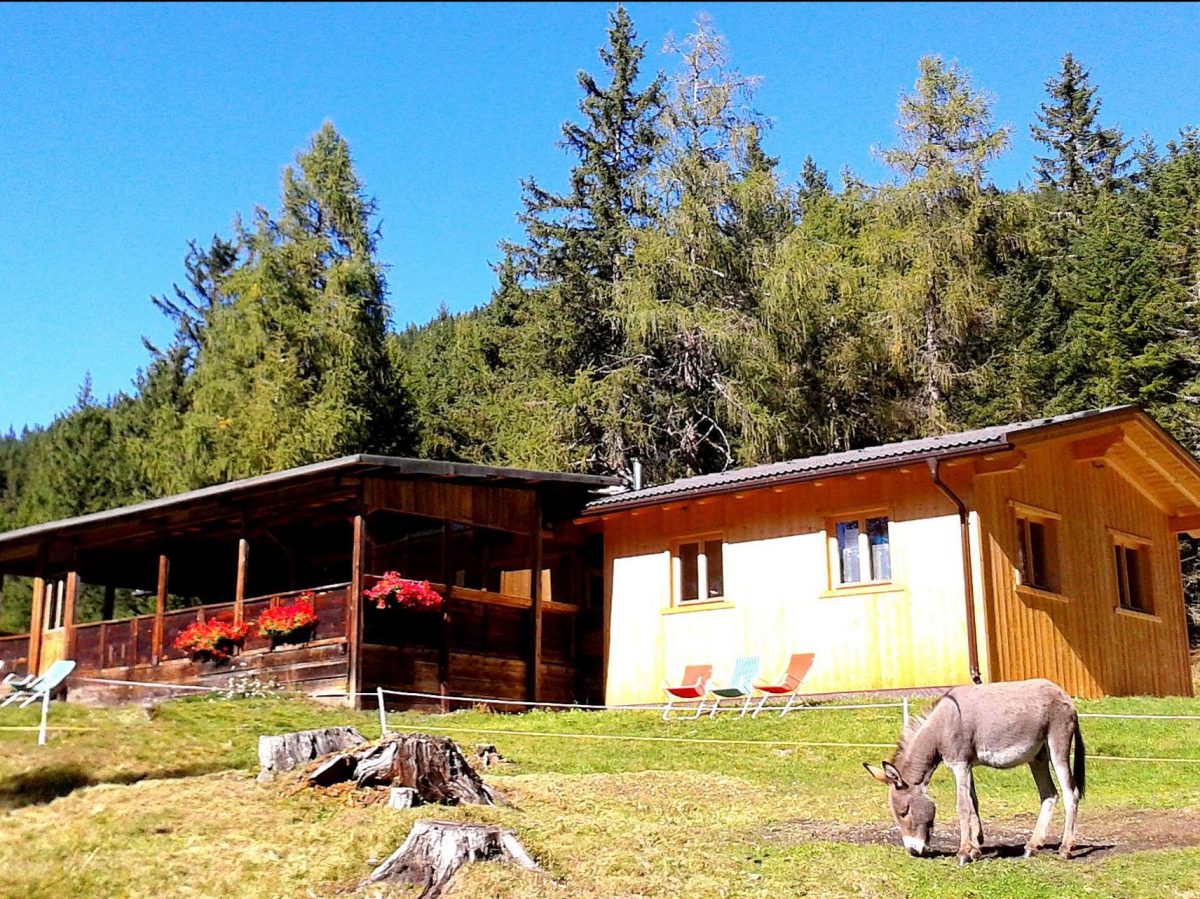 Rifugio Lachwiesen | Dobbiaco