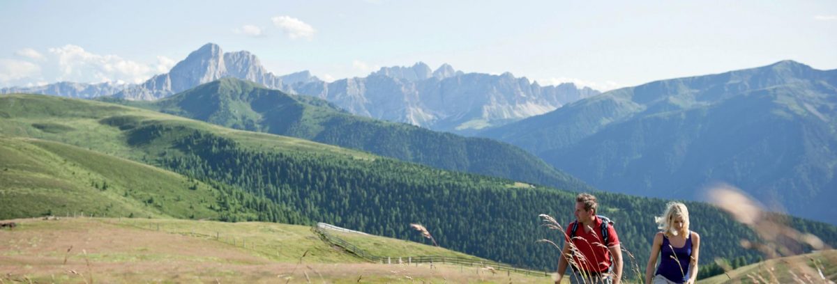 Wandergebiet Gitschberg Jochtal | Pustertal