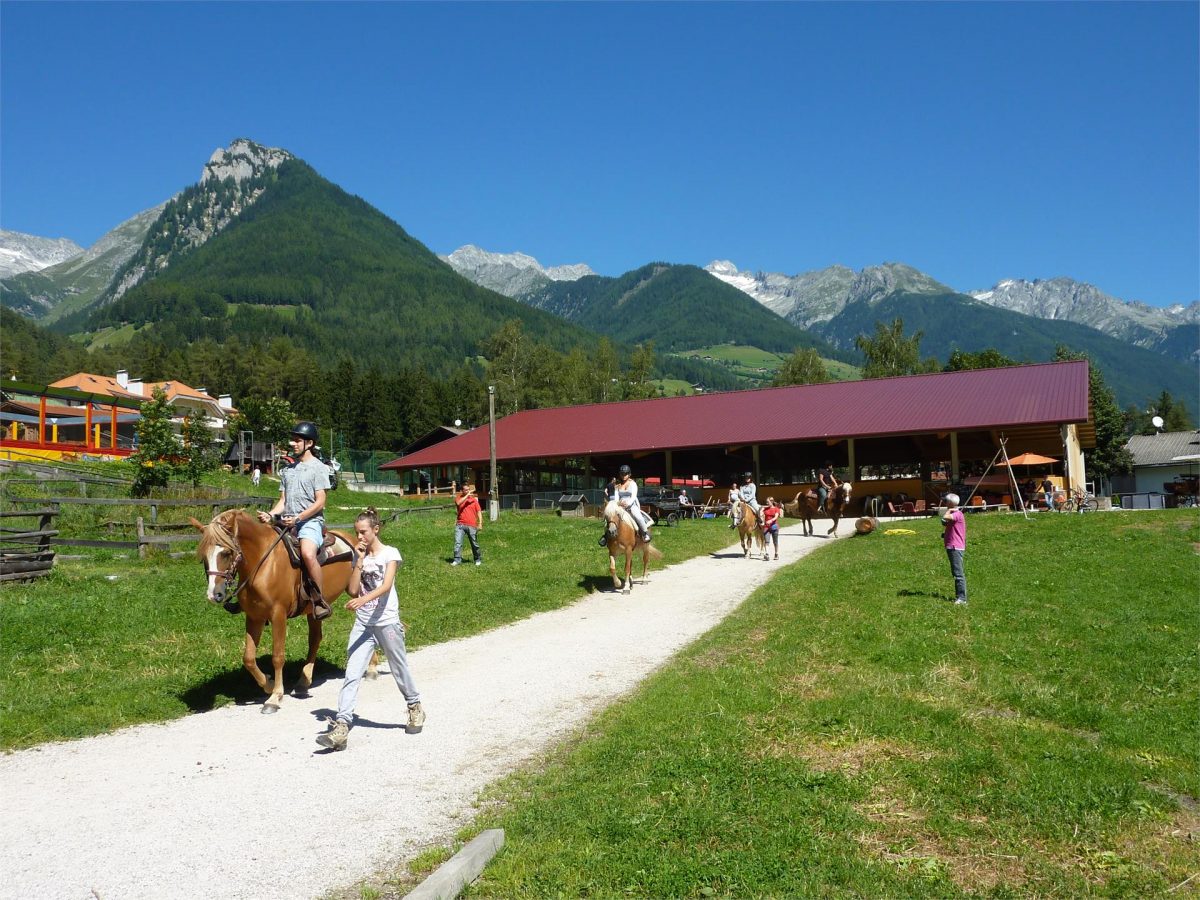 Herberts Reitstall & Pferdetrekking | Luttach