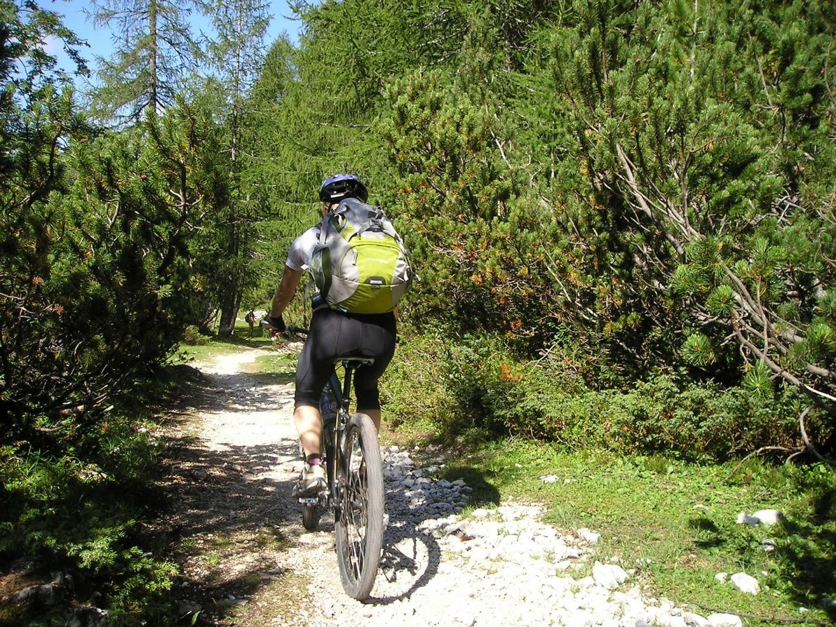 Mountainbiketour alla Pircheralm malga | Rio Bianco