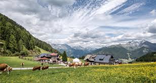 Kleiner Panorama-Rundweg Speikboden | Ahrntal