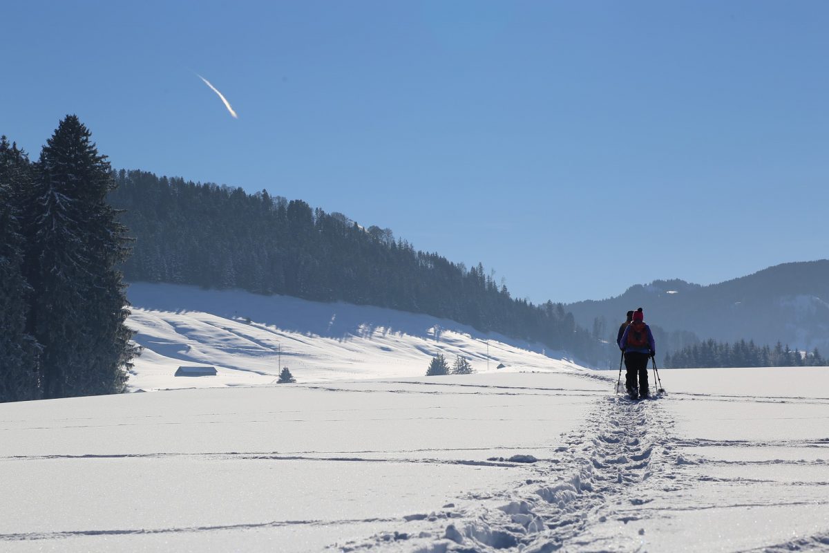 Winter hike Schöllberg Alm hut | Luttago