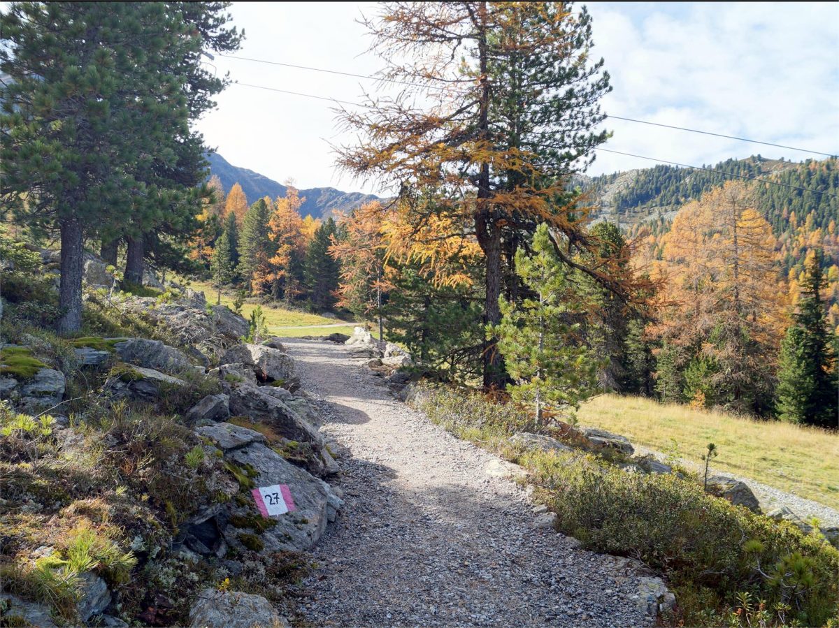 Daimerweg | Sand in Taufers