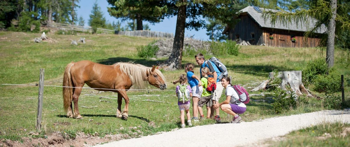 Unsere Wandertipps