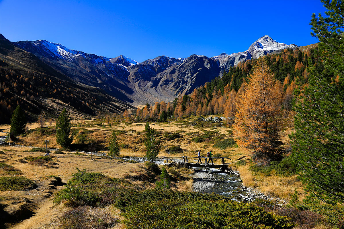 Valle Lagaun & malga Bergl | Val Senales