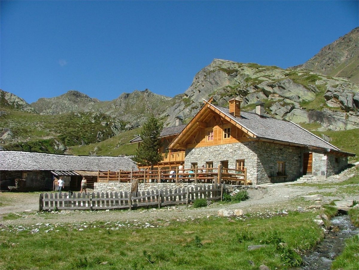 Certosa – malga di Pinalto | Val Senales