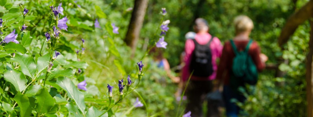 Unsere Wandertipps