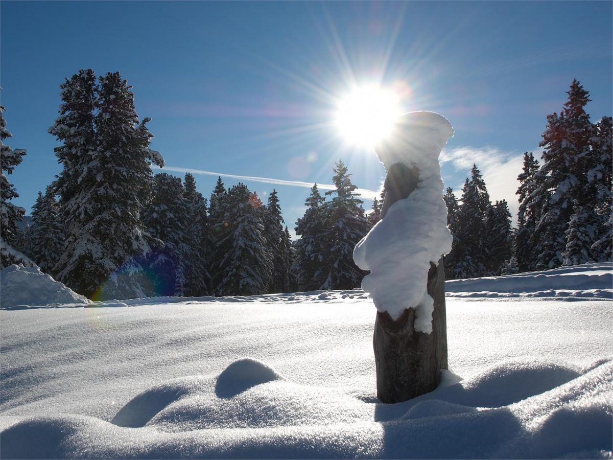 Escursione invernale Lago del Colle | Aldino