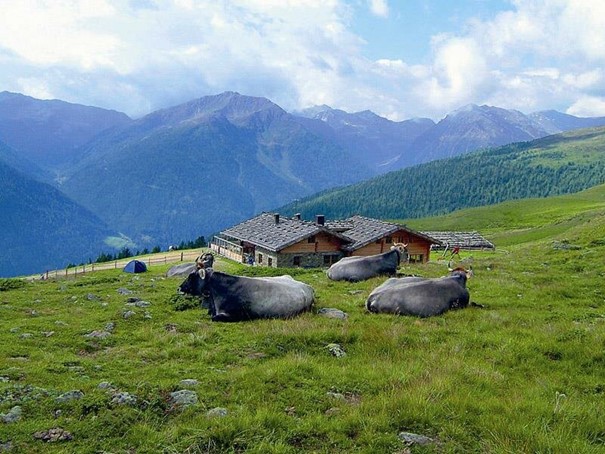 Bergrestaurant Schwemmalm | Ultental