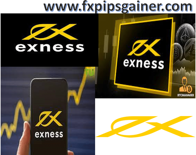 Exploring Exness Trading Instruments for Effective Trading